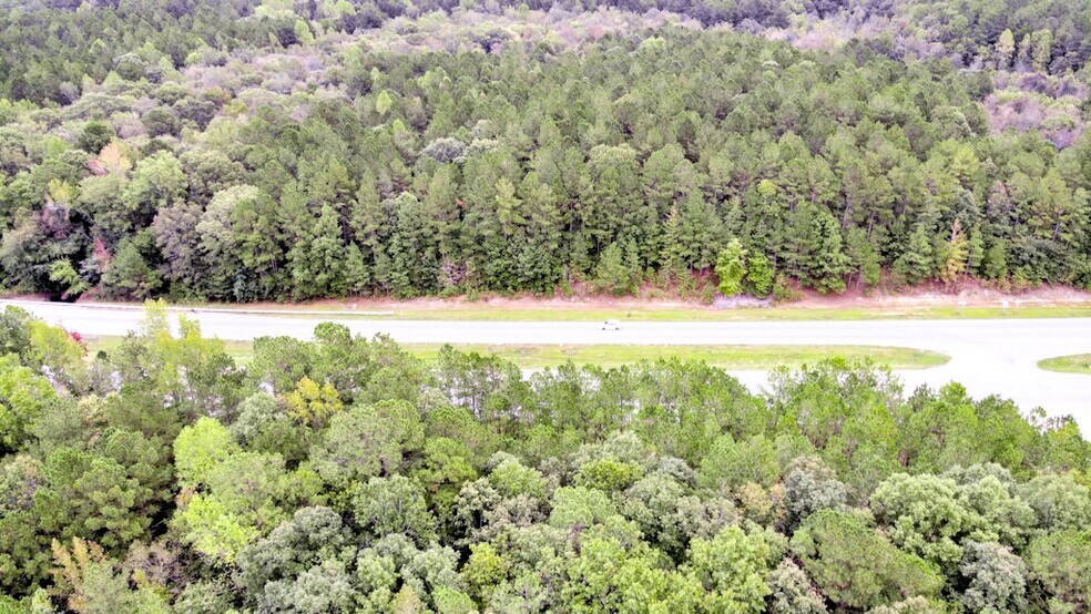 More Photos Of 300 Milton Welch (47+ acres - address # est) Rd, Sanford Land For Sale