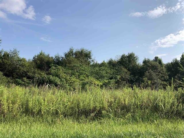 More Photos Of 614 N Main St, Atmore Land For Sale