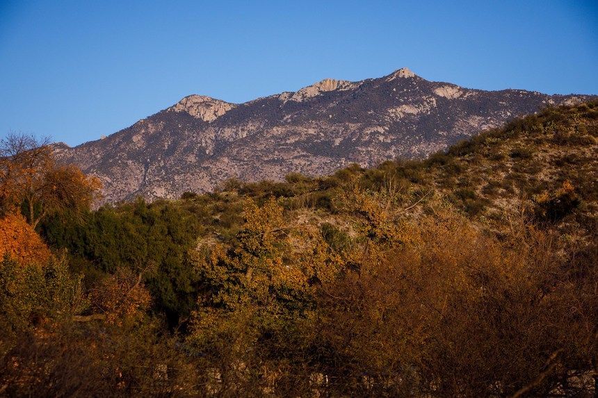 More Photos Of 13500 N Oracle Rd, Tucson Specialty For Sale