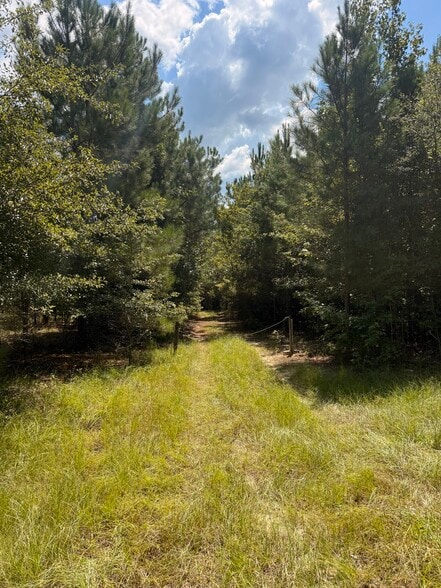 More Photos Of 333 Samuel Dr, Springfield Land For Sale