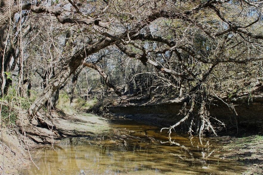 More Photos Of 2874 County 4630 rd, Kempner Land For Sale