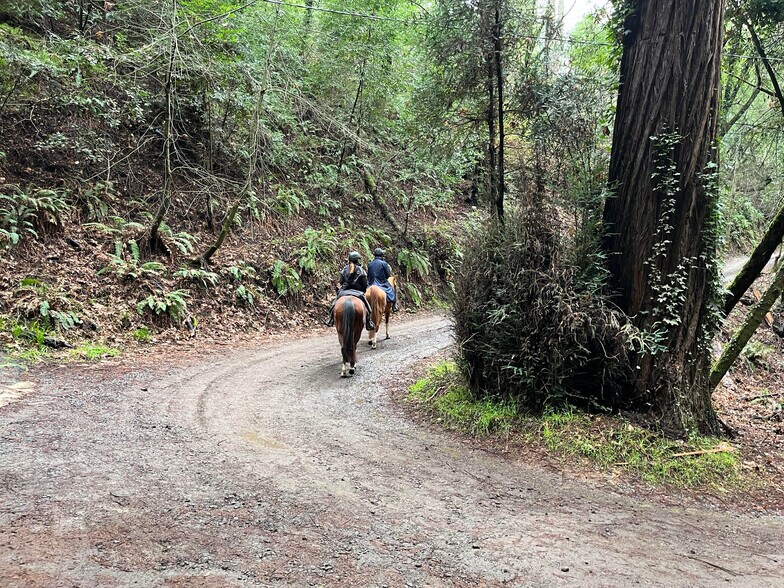 59 Conifer way, Woodacre, CA 94973 Land For Sale