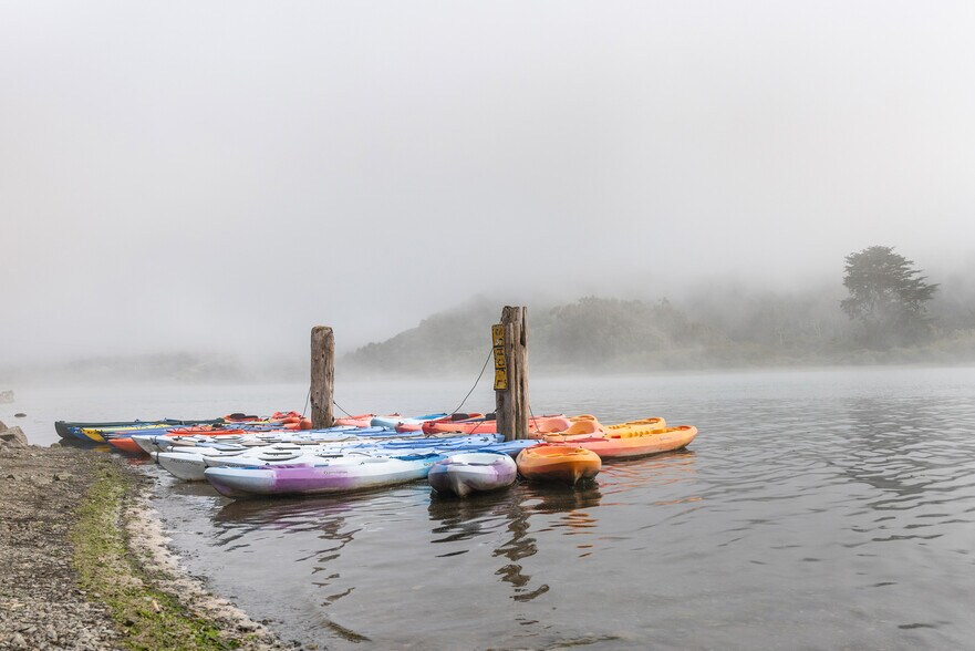 More Photos Of , Jenner Unknown For Sale