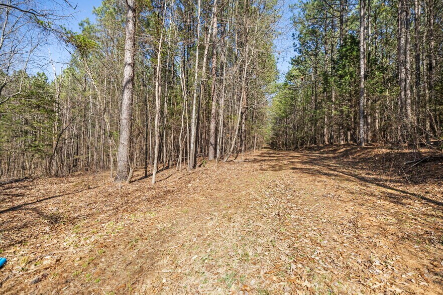 More Photos Of 1073 Boyds Mill Pond Rd, Laurens Land For Sale