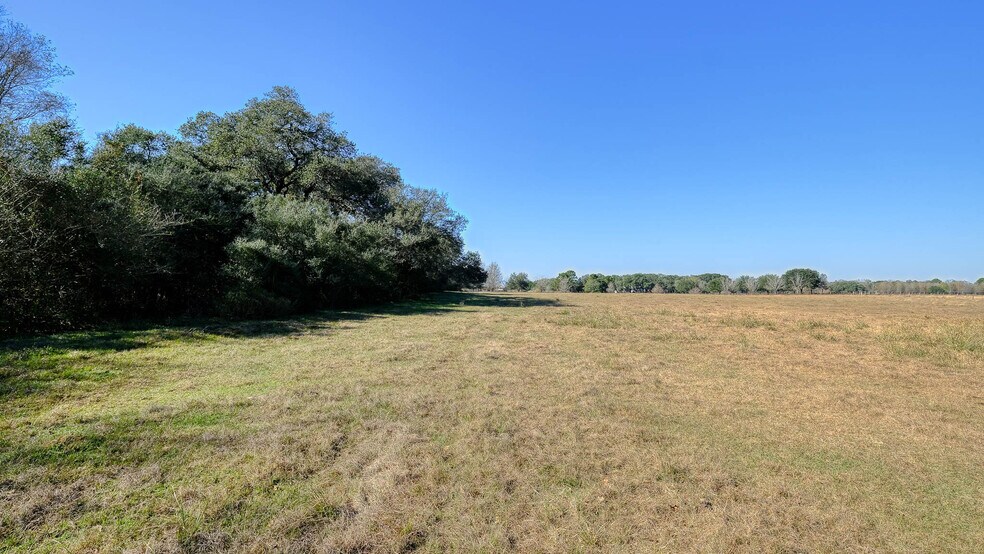 More Photos Of 26266 Fields Store Rd., Waller Land For Sale