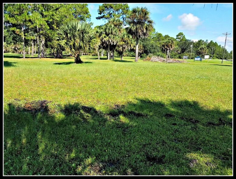 Primary Photo Of 1128 Shell Point Rd, Crawfordville Land For Sale