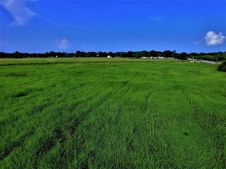 More Photos Of 0 Bamore Rd, Rosenberg Land For Sale