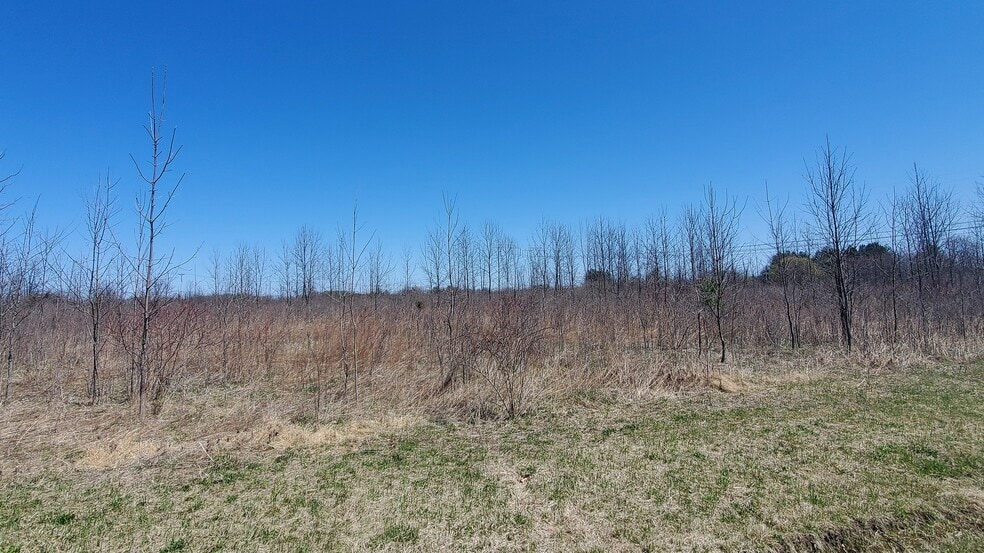 More Photos Of Lot 29 Lot 29 Old Plank Rd. Rd, Coxsackie Land For Sale