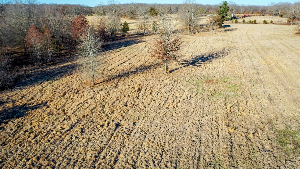 More Photos Of 1200 County 1255 rd, Detroit Land For Sale
