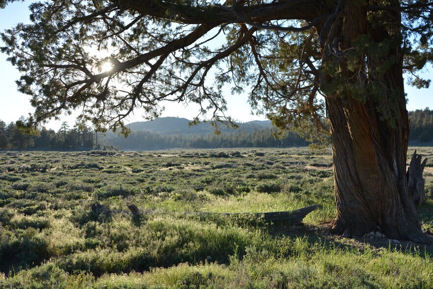 More Photos Of 34300 Holcomb Valley Rd, Fawnskin Land For Sale