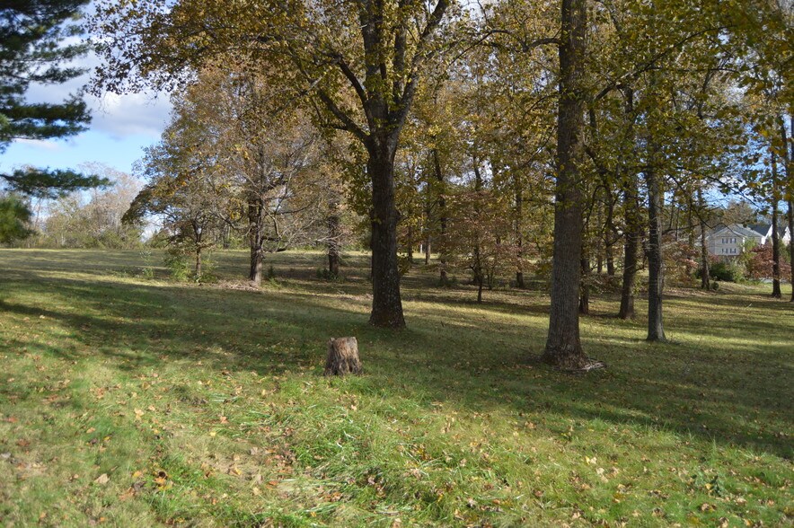 More Photos Of 16380 Forest Rd, Forest Land For Sale