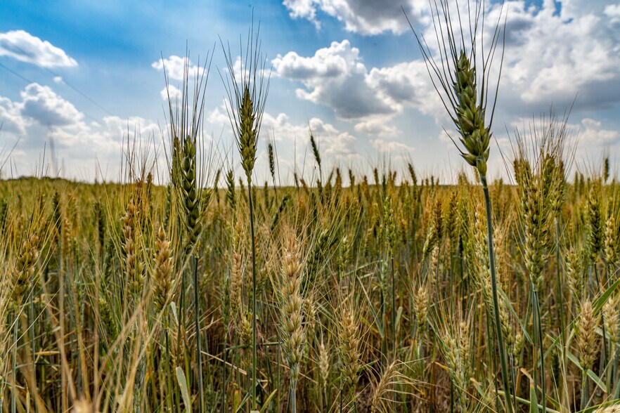 More Photos Of 223 KS-14, Lincoln Land For Sale