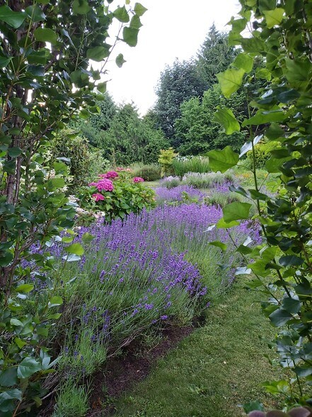 More Photos Of 6605 Sooke Rd, Sooke Land For Sale