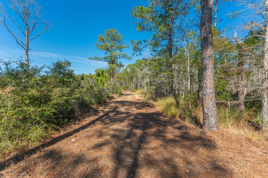More Photos Of Hwy 331 S & Jolly Bay Road, Freeport Land For Sale