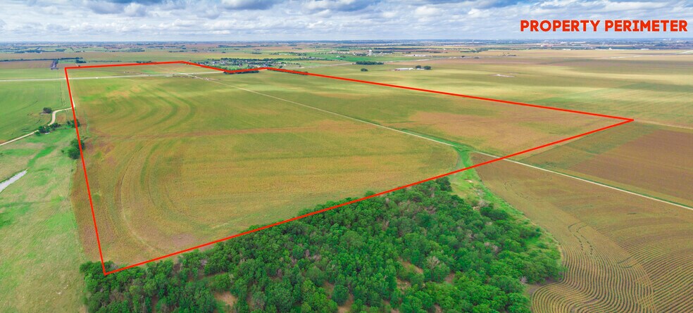 More Photos Of 703 CR 368, Taylor Land For Sale