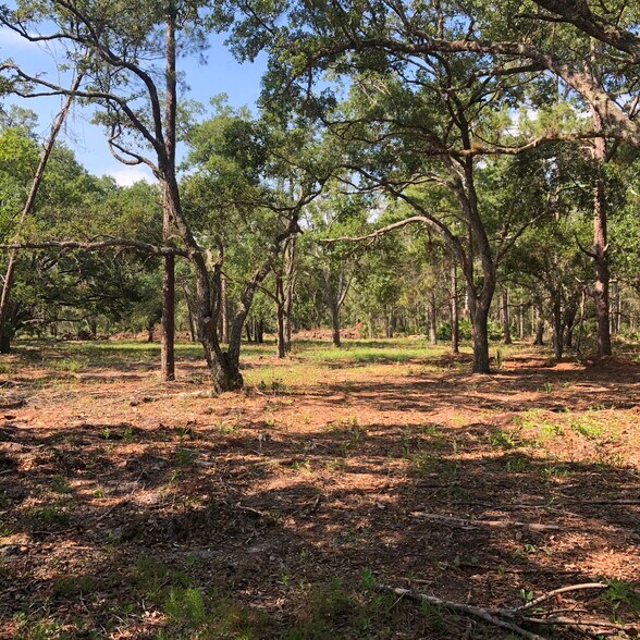 More Photos Of Highway 60 @ Walk in Water Rd., Lake Wales Land For Sale