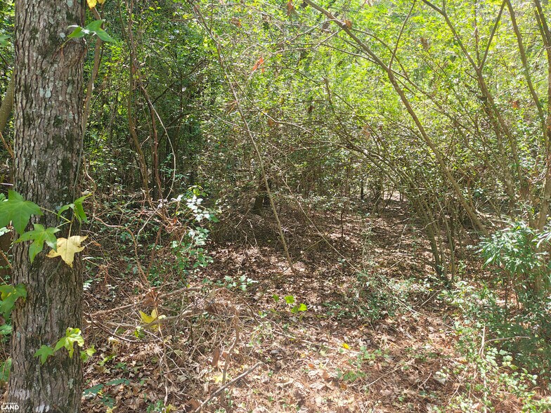 More Photos Of 0 Lot 028 Block DC 425 hwy, Bastrop Land For Sale