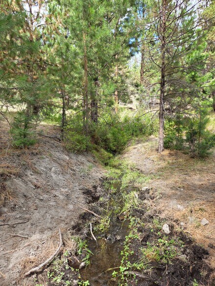 More Photos Of 32611 Tackman Rd, Prineville Land For Sale