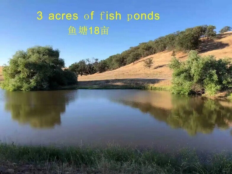 More Photos Of 5185 Union Rd, Paso Robles Winery Vineyard For Sale