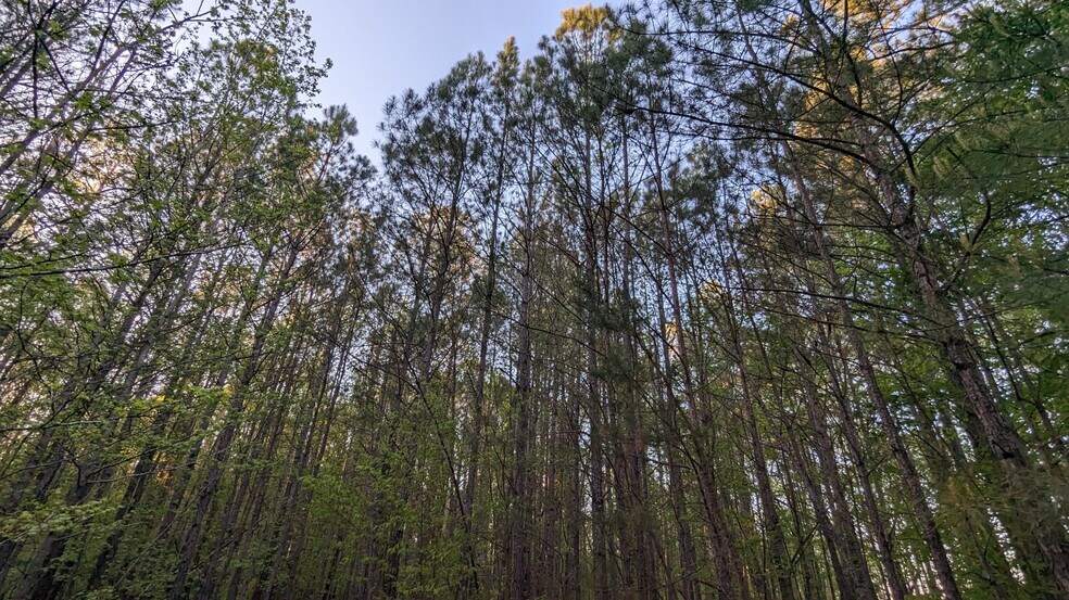 More Photos Of 0 Hathcock Road, College Park Land For Sale