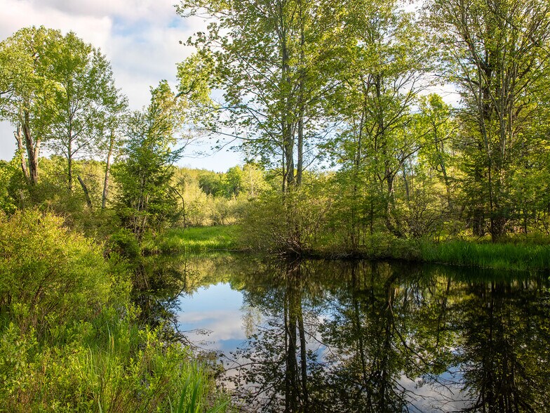 More Photos Of 1 Snow Hill Rd, Parksville Land For Sale