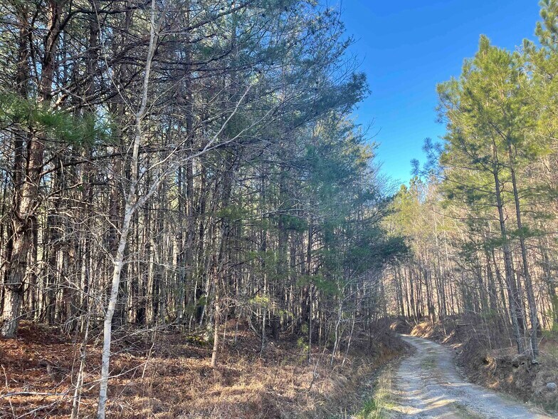 More Photos Of Rockfence Rd, Adairsville Land For Sale