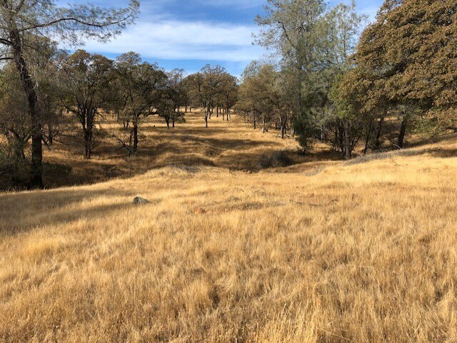 More Photos Of 1484 Oregon Gulch, Oroville Land For Sale