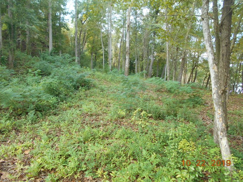 More Photos Of 282 Tuckasee King Rd, Clyo Land For Sale