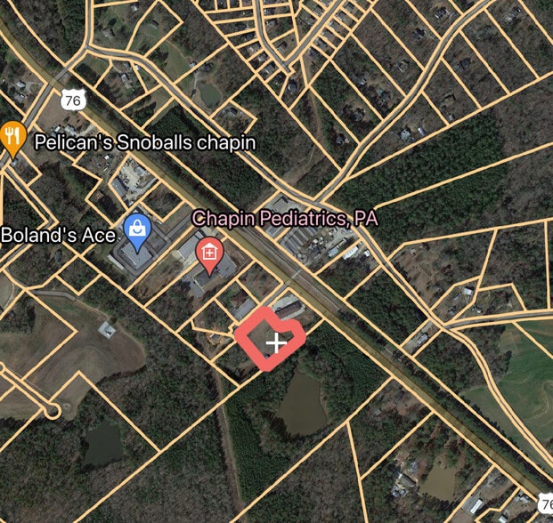 More Photos Of 111 Snapdragon, Chapin Land For Sale