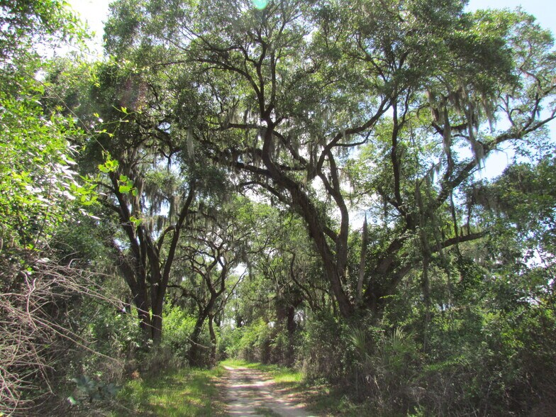 More Photos Of 214 Seabrook, Seabrook Land For Sale