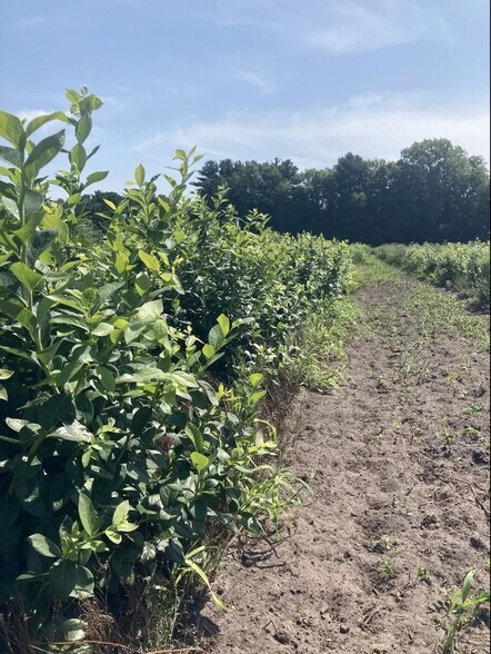 More Photos Of 9555 Gast Rd, Bridgman Shelter For Sale