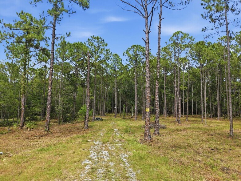 More Photos Of 0 Altamont Ln, Odessa Land For Sale