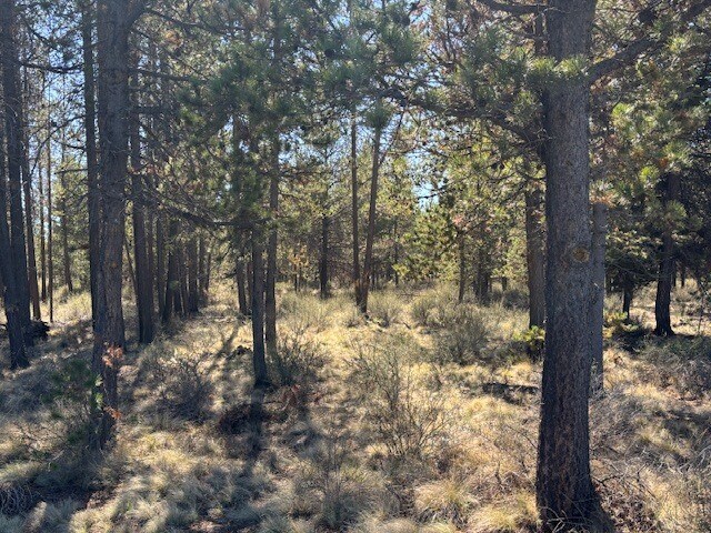 More Photos Of 16401 Memorial Lane and Huntington Rd., La Pine Land For Sale