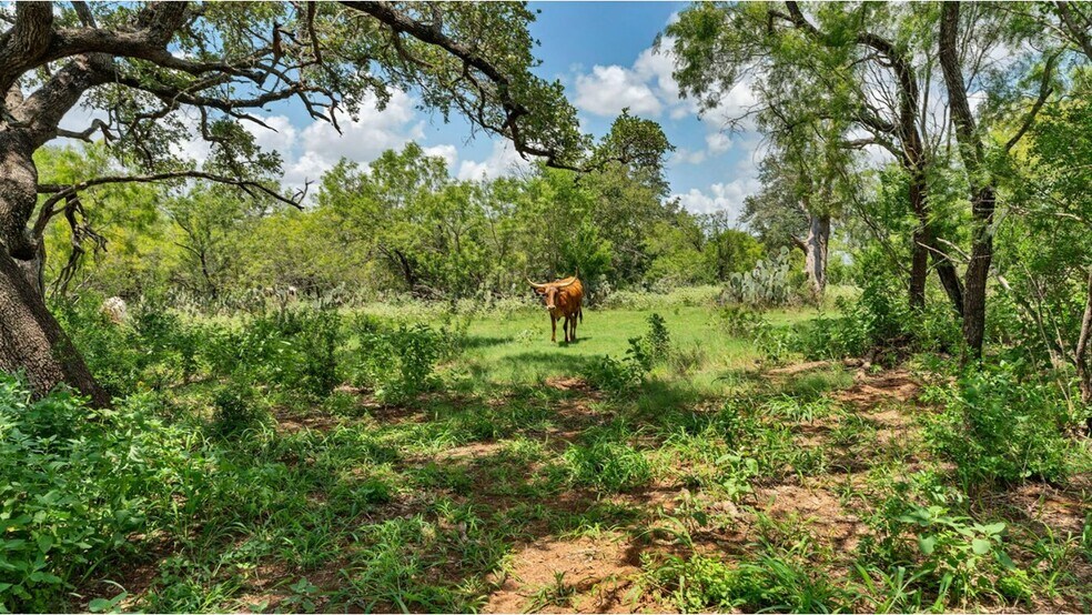 More Photos Of 209 FM 1344, Floresville Land For Sale