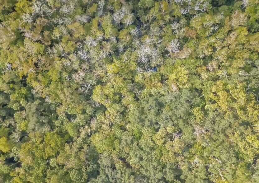 More Photos Of 0 Paige Ave, New Smyrna Beach Land For Sale