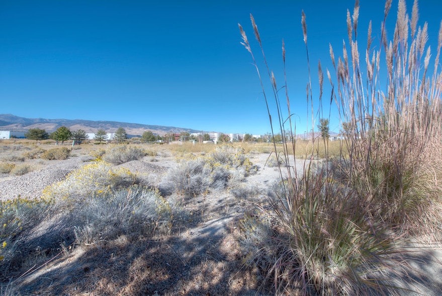 Double Diamond Pky, Reno, NV 89521 Land For Sale