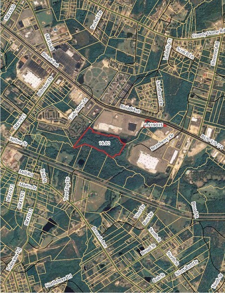 More Photos Of US Hwy 74, Rockingham Land For Sale