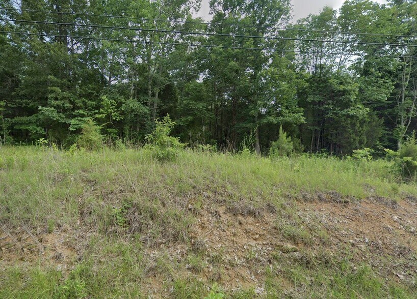 More Photos Of 0 Blue Bird Rd, Falls Of Rough Land For Sale