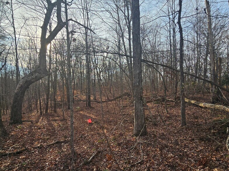 More Photos Of 762 Smith Mountain Rd, Dunlap Land For Sale