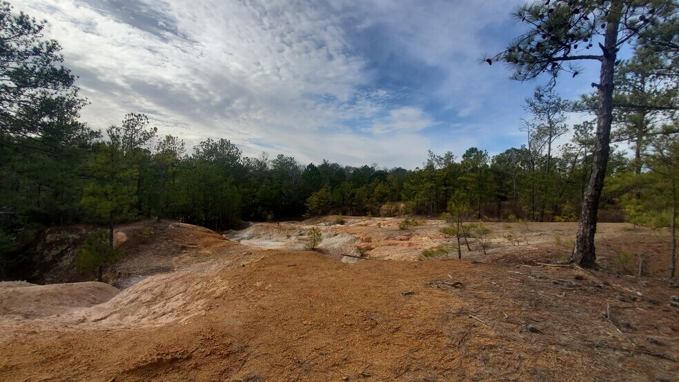 More Photos Of South Nowell Road, Macon-Bibb Land For Sale