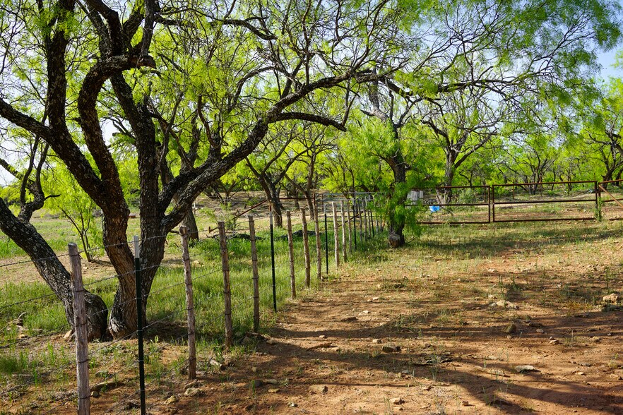 More Photos Of 723 FM 2926, Baird Land For Sale