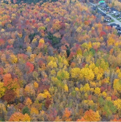 Primary Photo Of 485 Rue Du Parc, Saint Joseph Du Lac Land For Sale