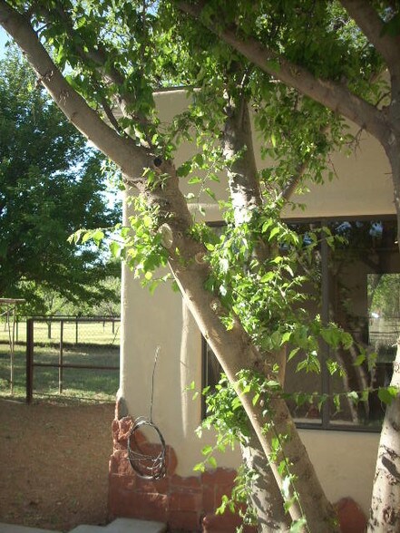 More Photos Of 143 E Walker Rd, Camp Verde Specialty For Sale