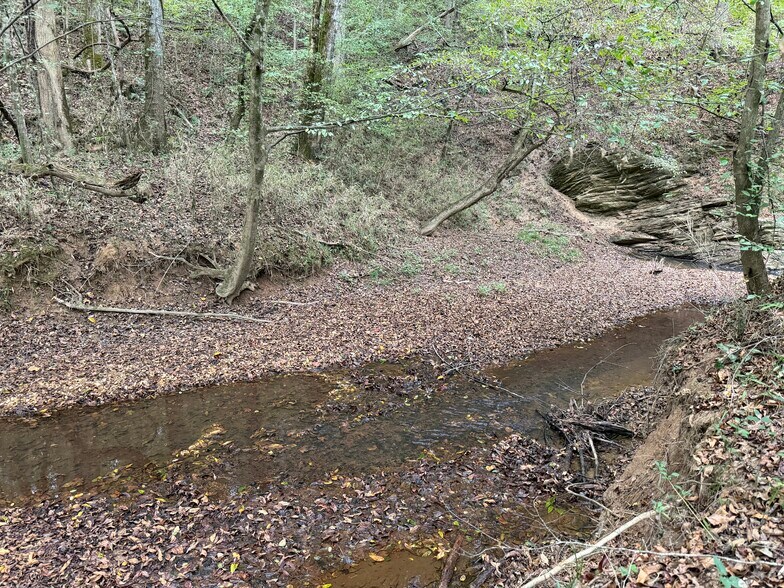More Photos Of 0 County Road 60, Heflin Land For Sale