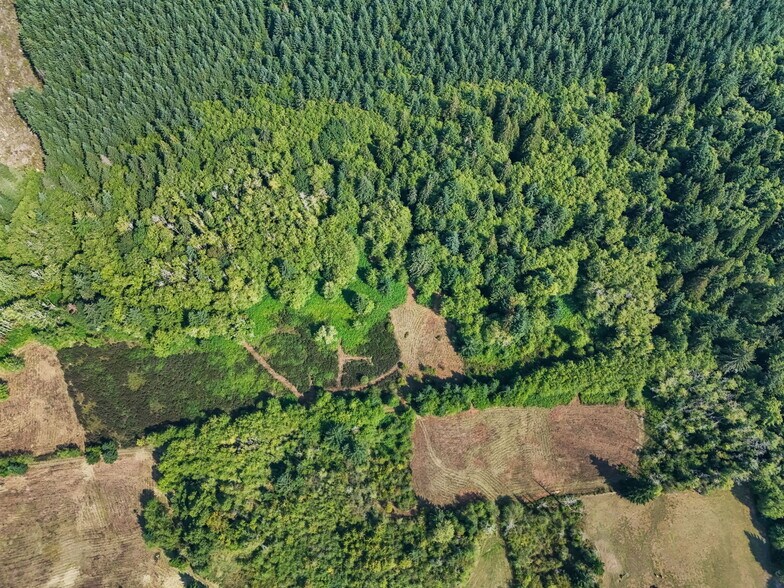 More Photos Of 104 Bills Ln, Onalaska Land For Sale