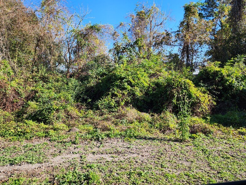 More Photos Of 106 Rondinaud Rd, Donaldsonville Land For Sale