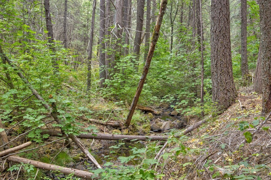 More Photos Of Mountain Dew Lane, Somerset Land For Sale