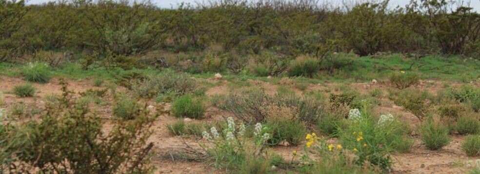 Primary Photo Of 0000 Other, Barstow Land For Sale