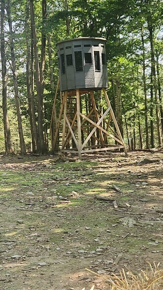 More Photos Of 127 Blum Rd, Equinunk Land For Sale