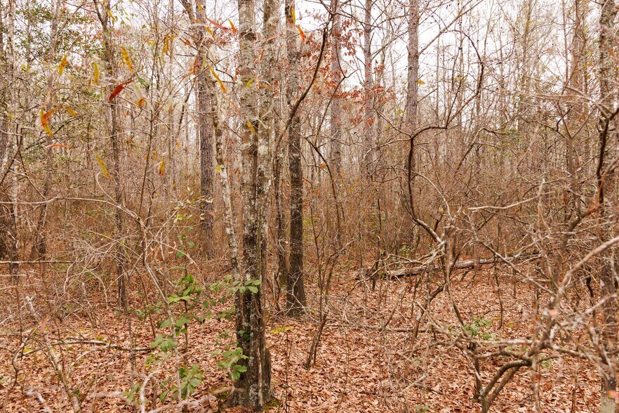 More Photos Of Jug Factory Road, Wetumpka Land For Sale